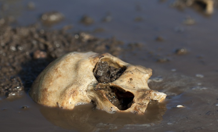 skull1
