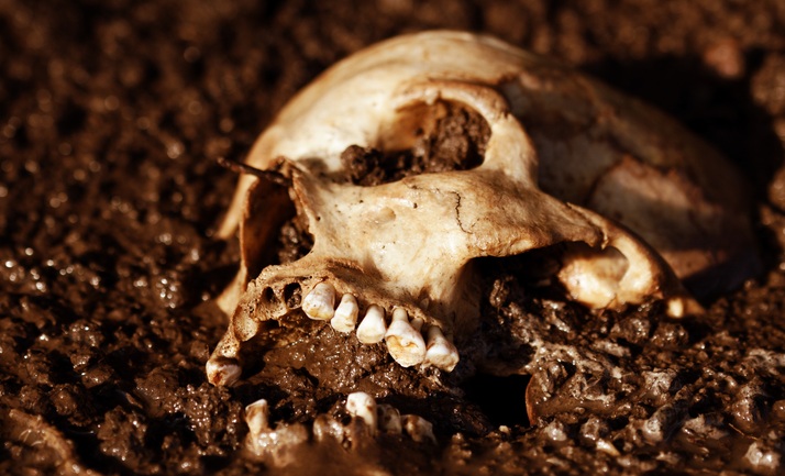 skull2